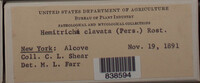 Image Associated With the Occurence